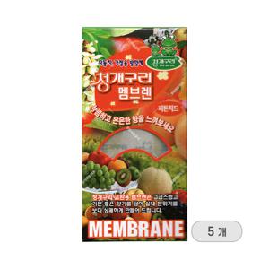 청개구리 멤브렌 차량용 방향제 피톤치드향 5P