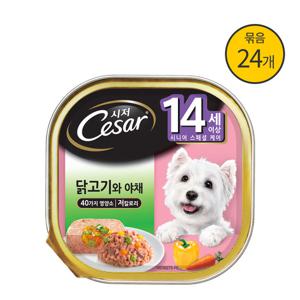 시저캔 닭고기와 야채 14세이상 100g X 24캔