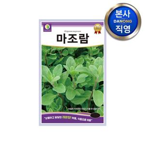 마조람 허브 씨앗 0.5g . 정원 베란다 텃밭 화단 식물 파종 키우기 꽃씨 종자.