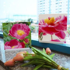 아트박스/꾸밈 th368-스탠드액자2P_복을주는풍수모란꽃05