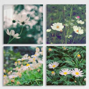 아트박스/꾸밈 cm842-아크릴액자_빈티지야생화