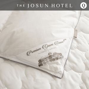 [더조선호텔] 헝가리 간절기 구스 이불 속통 Q 500G