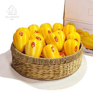 [웰굿] 산지직송 성주 세척 참외 5kg(11-23과,실속형)