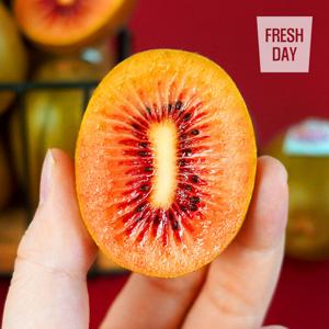 신품종 속빨간 제스프리 루비레드키위 로얄대과 52입 (5.6kg이내)