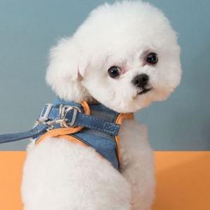 빛반사 L 반려견하네스 반려동물 하네스 리드줄 반려