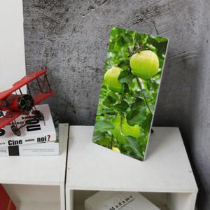 아트박스/꾸밈 pc804-폼아크릴액자18CmX38Cm_푸른사과나무