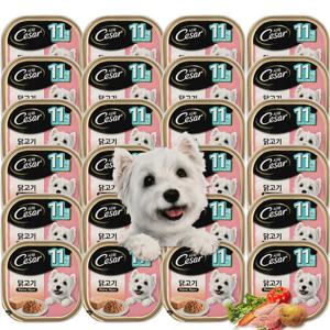시저캔 닭고기 11세이상 100g X 24캔 노령견용