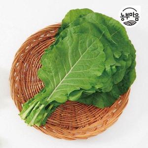 갤러리아_[농부마음]유기농 쌈용 케일 1kg 쌈채소