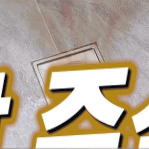 [TV정품][BNS] 골드트랩 배수구왕 2세트 (하수구용 4개+싱크대용 2개) 총 6개 세트
