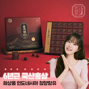 [농협홍삼 한삼인] 홍기천 침향환 3.75g x30환+쇼핑백