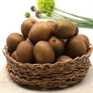 농협과일 국내산 골드키위 2kg 21과내