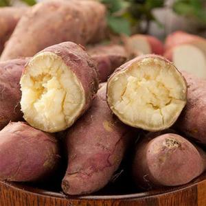 국산 꿀밤고구마 5kg 중