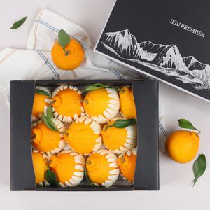 제주 한라봉 명품 선물세트 3kg (큰봉/7-11과) 부직포가방포장