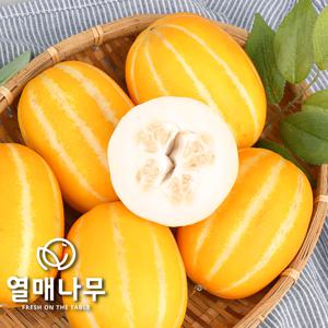[열매나무]성주산 햇 참외 2kg+2kg (총 4kg/10~24과)