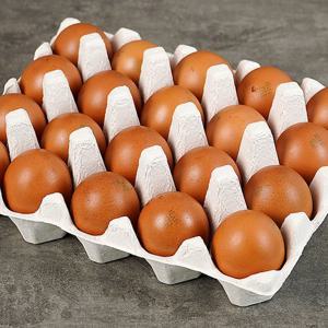 훈연한 훈제란 20구x1