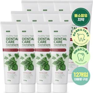 쉼표365 매일 개운한 구취제거 불소 치약 250g x 12개 대용량 구취케어 입냄새제거 치태제거