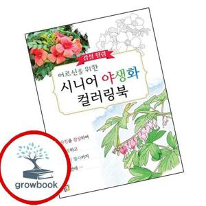 어르신을 위한 감성 힐링 시니어 야생화 컬러링북 책