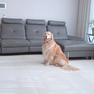 리빙코디 포근 놀이방매트 PVC 롤 매트 9T 140cmx5m (4종/택1) 미끄럼방지 거실매트