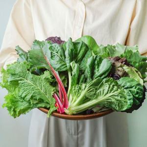 [무농약인증] 순창 친환경 쌈채소 모듬 1kg