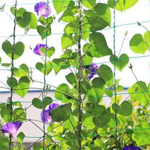 원예 식물 그물망 식물 지지대 네트 넝쿨 M11160 (WDCF9D5)