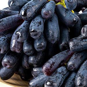 갤러리아_달콤한 블랙사파이어 포도 씨없는 블랙포도 1kg 4팩