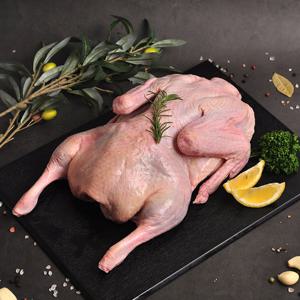 [청림농원] 무항생제로 키운 통오리 1마리 2.4kg