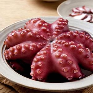 [당일조업]100% 자연산 통영 활 돌문어 2kg (2-4미내외)