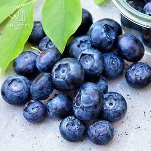 [웰굿] 프리미엄 국내산 생 블루베리 200g(중과,14mm이상)