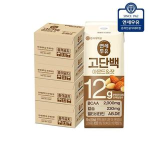 [연세우유]연세두유 고단백 아몬드 잣 두유 64팩