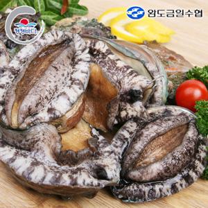 [완도금일수협] 참전복 (특특대)1kg(6-7미)