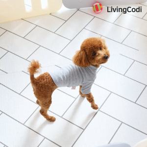 리빙코디 강아지 애견매트 200x130 단품 8종 모음 /슬개골탈구예방 층간소음