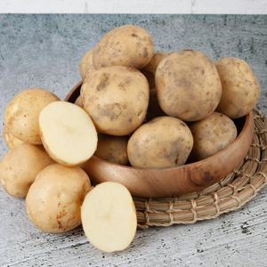 26년 햇감자 포슬포슬 수미감자 중 10kg