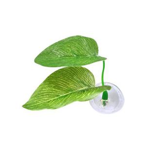 아마존 프리미엄 베타침대 베타 은신처 쉼터 어항장식