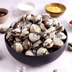 갤러리아_산지직송 당일조업 제철 벌교 꼬막 2kg 중