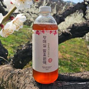3년숙성 하동 황 매실 청 1L 황 매실원액 황 매실발효액 남고매실 황 매실