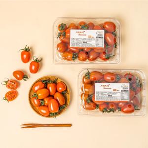 논산 고당도 저칼로리 스테비아 대추 방울 토마토 찰진 완숙 토마토 1KG