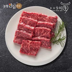 [구미우] 1++No.9 최고 등급 한우 특수부위 500g+500g 구이용 냉장(안창살/치마살/제비추리/토시살 랜덤발송)