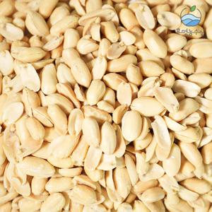 [대용량1kg] 효명농수산 튀김땅콩 1kg 외 견과류 6종 런칭 초특가