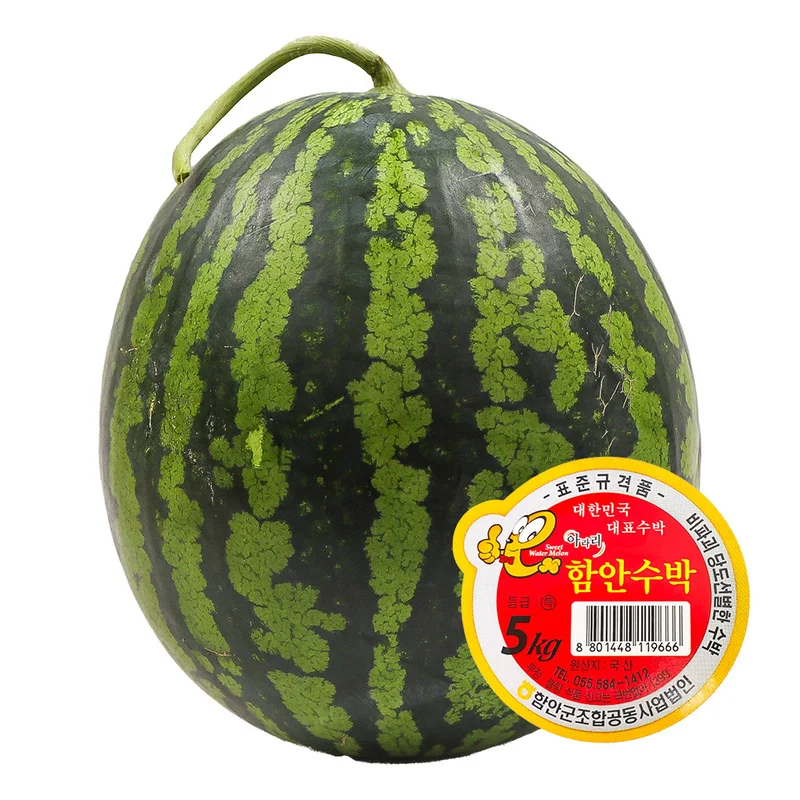 수박 가정용(상품) 6kg / 11브릭스 당도선별