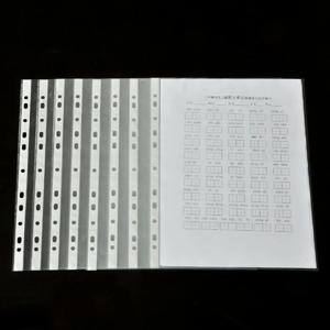 100개 A4 PP 펀치 포켓 파일 폴더 파일링 월렛 슬리브 가방 투명 0.04mm