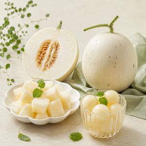 함안 백자메론 2kg 내외 2-3과