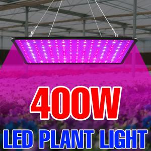 400W LED 식물 성장등 풀 스펙트럼 퀀텀 보드 실내 화분 과일 온실 텐트 이끼 다육식물 재배 램프