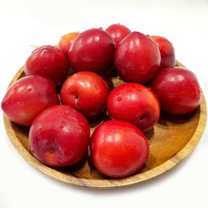하우스 자두 250g 혼합과 6-10과