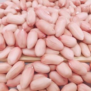 햇 생땅콩 생알 땅콩 큰알 땅콩 땅콩조림 극강의맛 품질보증 5kg