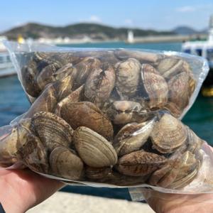 국내산 바지락 참바지락 왕바지락(남해) 2kg (120미내외) / (수량한정) 배송비 무료 이벤트