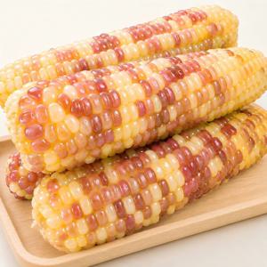 갓 삶아 냉동한 맛있는 쫀득한 홍찰 옥수수 냉동 옥수수 15개