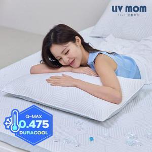 리브맘 아이스냉감 육각셀 베개커버 1+1 40x60/50x70