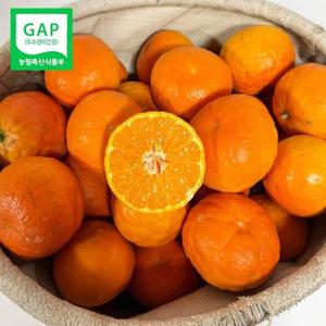 GAP 새콤달콤 제주 홍귤 세미놀귤 5kg 혼합과