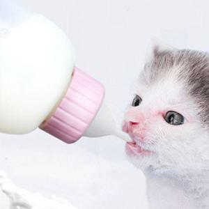 새끼 강아지 애기 고양이 우유병 젖병 세트 80-100ml WFL46GW