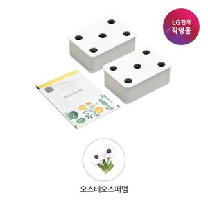 [LG전자 직영][택배배송] 틔운 씨앗키트 LPM57 오스테오스퍼멈 (미니 호환)